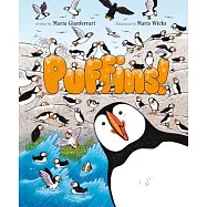 Puffins!