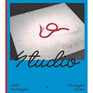 Studio: Blending Model with Reality