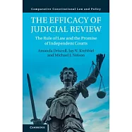 The Efficacy of Judicial Review: The Rule of Law and the Promise of Independent Courts