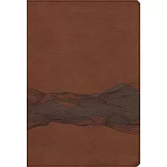 Niv, Timeline Bible, Leathersoft, Brown, Red Letter, Comfort Print: A Chronological Study Through Scripture