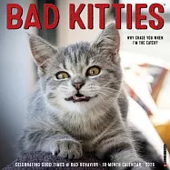 Bad Kitties 2026 Wall Calendar