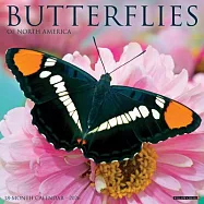 Butterflies 2026 Wall Calendar