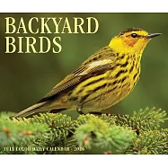 Backyard Birds 2026 Box Calendar