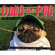 Doug the Pug 2026 Box Calendar-USA