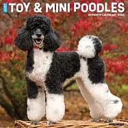 Toy & Miniature Poodles 2026 Wall Calendar