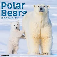 Polar Bears 2026 Wall Calendar