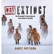 NOT Extinct: The Przewalski’s Horse Returns from Extinct in the Wild