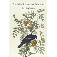 Someday Somewhere Beautiful: A West Coast Motherhood