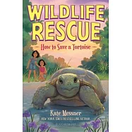 How to Save a Tortoise