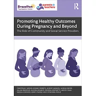 Promoting Healthy Outcomes During Pregnancy and Beyond: The Role of Community and Social Service Providers