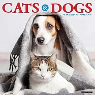 Cats & Dogs 2026 12 X 12 Wall Calendar