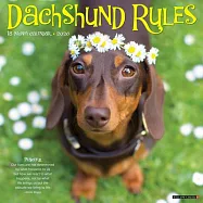 Dachshund Rules 2026 12 X 12 Wall Calendar
