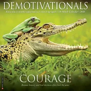 Demotivationals 2026 12 X 12 Wall Calendar