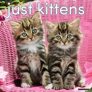 Kittens 2026 12 X 12 Wall Calendar