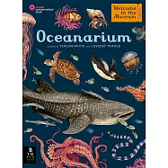 Oceanarium: Welcome to the Museum