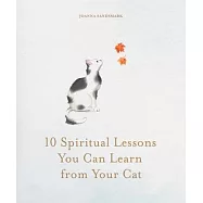 10 Spiritual Lessons You Can Learn from Your Cat: Essential Life Lessons We Can Learn from Our Furry Friend