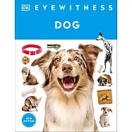 Eyewitness Dog
