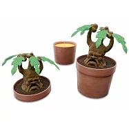 哈利波特香氛蠟燭：魔蘋果Harry Potter: Mandrake Candle
