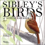Sibley&rsquo;s Birds of America 2027 Wall Calendar