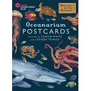 Oceanarium Postcards (Welcome To The Museum)
