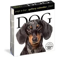 Dog Page-A-Day(r) Gallery Calendar 2027: An Elegant Canine Celebration