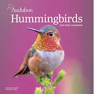 Audubon Hummingbirds Mini Wall Calendar 2027