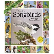 Audubon Songbirds and Other Backyard Birds Picture-A-Day(r) Wall Calendar 2027