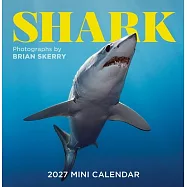 Shark Mini Wall Calendar 2027