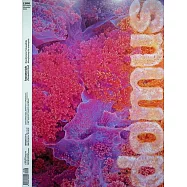 domus 第1106期 11月號/2025