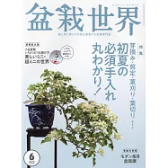 盆栽世界 6月號/2022