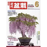 月刊近代盆栽 6月號/2022