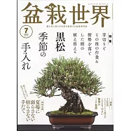盆栽世界 7月號/2022