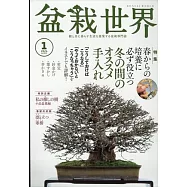 盆栽世界 1月號/2024