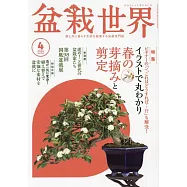 盆栽世界 4月號/2024