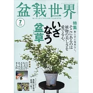 盆栽世界 7月號/2025