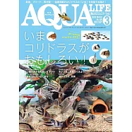 AQUA LIFE 3月號/2026