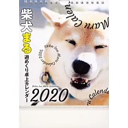 柴犬MARU2020年桌上型週曆