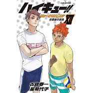 ハイキュー!!ショーセツバン!!12