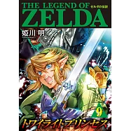 ゼルダの伝説 トワイライトプリンセス 9
