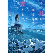 あの星が降る丘で、君とまた出会いたい。