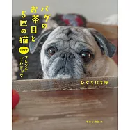 パグのお茶目と5匹の猫 ときどきフレンチブルドッグ