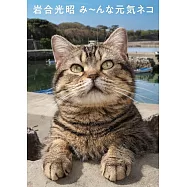 岩合光昭 み~んな元気ネコ