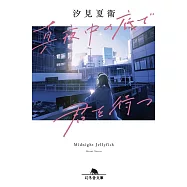 真夜中の底で君を待つ