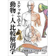 動物+人比較美術解剖學素描繪圖技巧教學講座