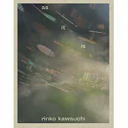 川内倫子攝影寫真集：as it is