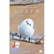 毛絨北長尾山雀2024年桌上型月曆