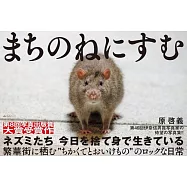 まちのねにすむ