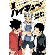 ハイキュー!!ショーセツバン!!3