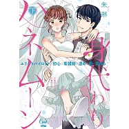 身代わりハネムーン エリートパイロットと初心な看護師は運命の愛に溺れる 下