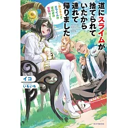 道にスライムが捨てられていたから連れて帰りました ~おじさんとスライムのほのぼの冒険ライフ~
